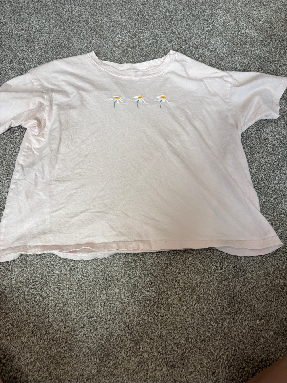 American Eagle Outfitters Light Pink Daisy Embroidered Short Sleeve Tee